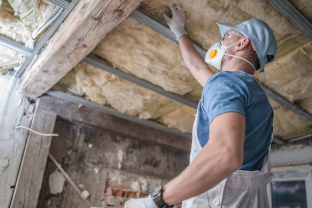 Best Energy Efficiency Solutions in Midlothian, VA