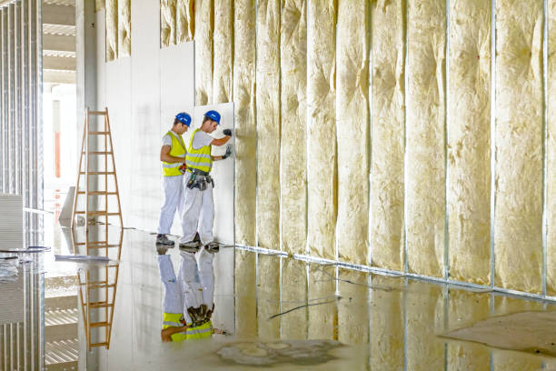 Best Residential Insulation in Midlothian, VA